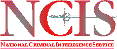 NCIS LOGO COLOUR.gif (2850 bytes)